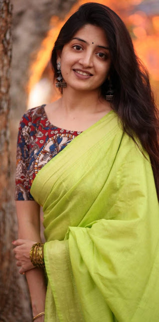 Actress Poonam Kaur Stills In Transparent Green Saree 3